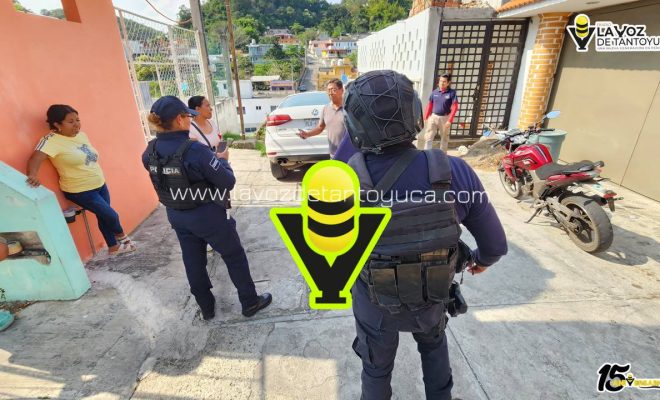 photo_5010656367215316051_y