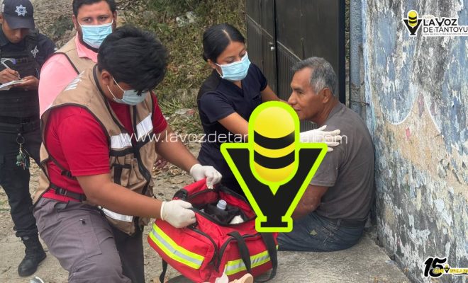 photo_5010656367215316057_y