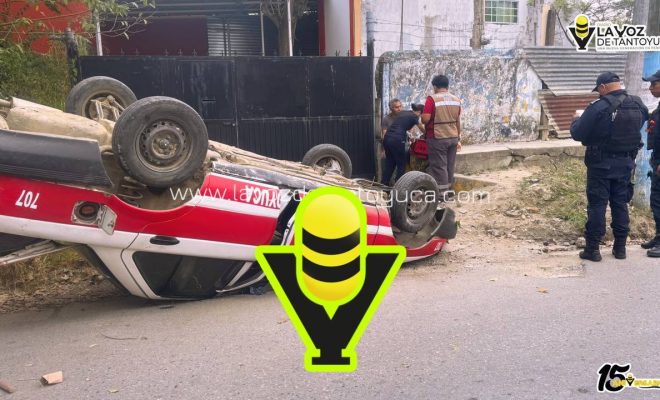 photo_5010656367215316059_y