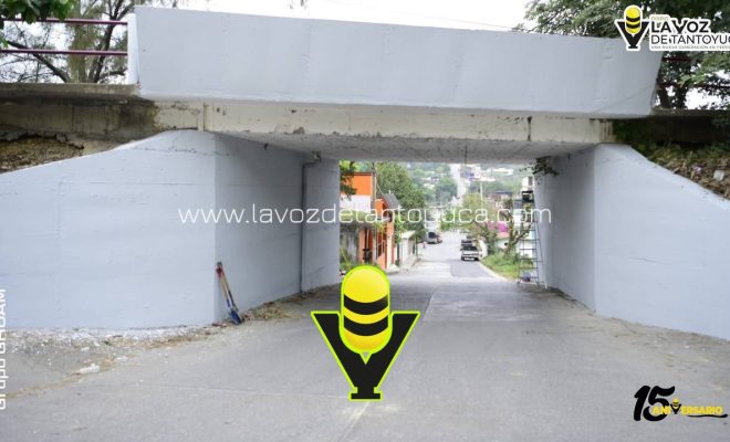 photo_5010738757572955024_y