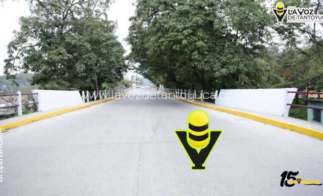 photo_5010738757572955025_y