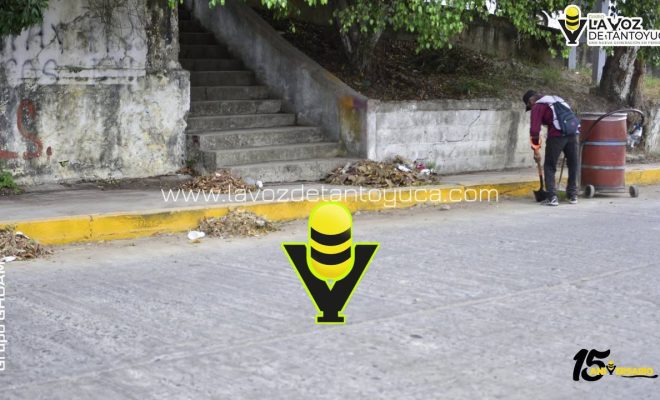 photo_5010738757572955026_y