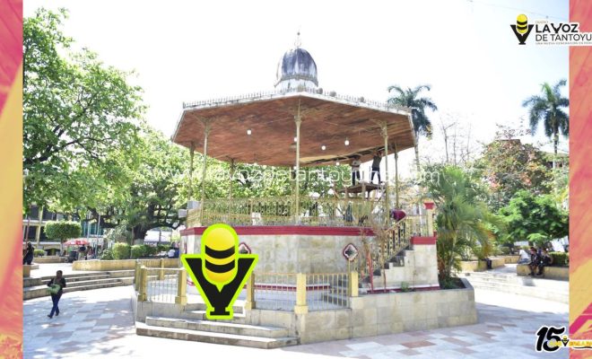 photo_5012538232905862063_y