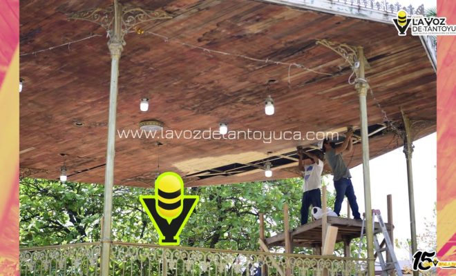 photo_5012538232905862064_y