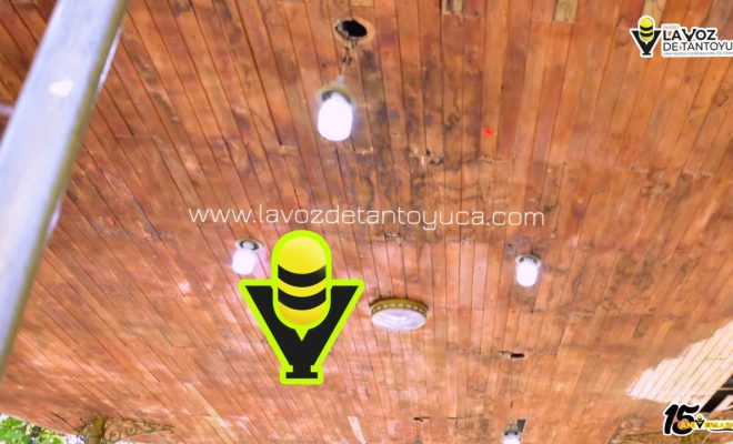 photo_5012538232905862065_y