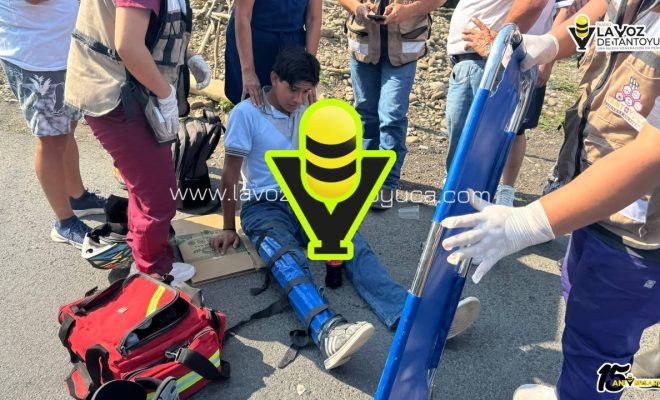 photo_5012538232905862111_y