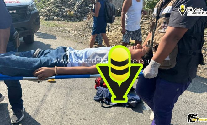 photo_5012538232905862112_y