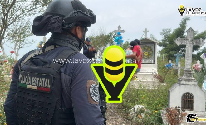 photo_5012538232905862116_y