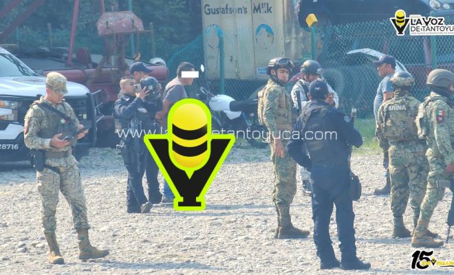 photo_5012538232905862191_y