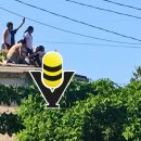 Hombre resulta lesionado tras recibir descarga eléctrica en Pánuco