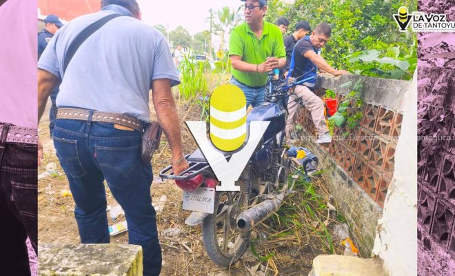 photo_5012919862224947999_y