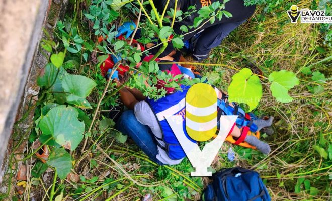 photo_5012919862224948001_y