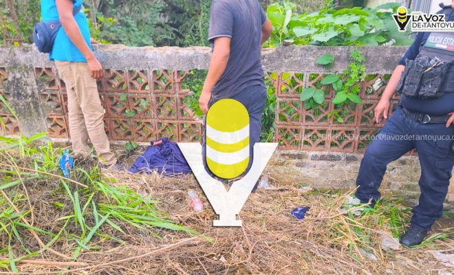 photo_5012919862224948002_y