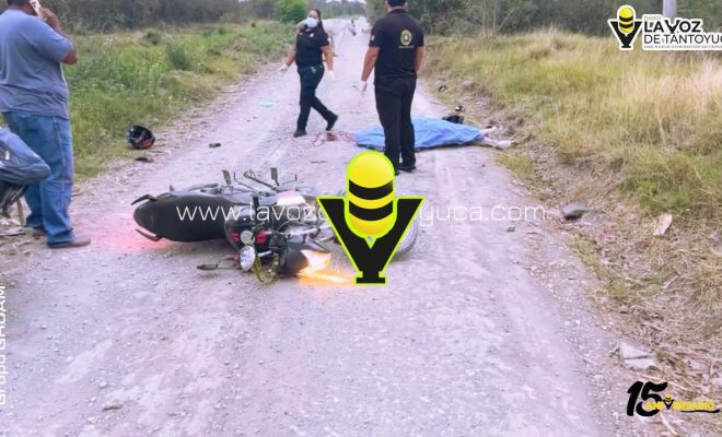 photo_5012990557386640236_y