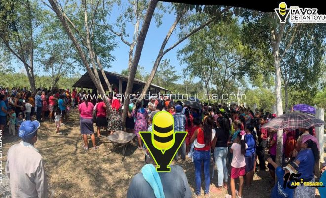 photo_5012990557386640241_y