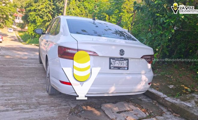 photo_5015171662038633244_y