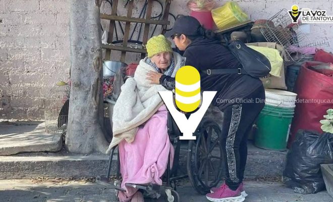 photo_5017108967167036195_y