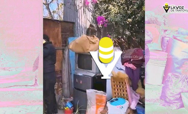 photo_5017108967167036196_y