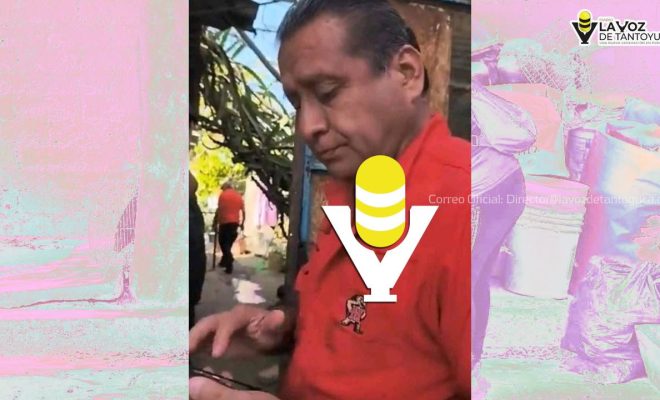 photo_5017108967167036197_y