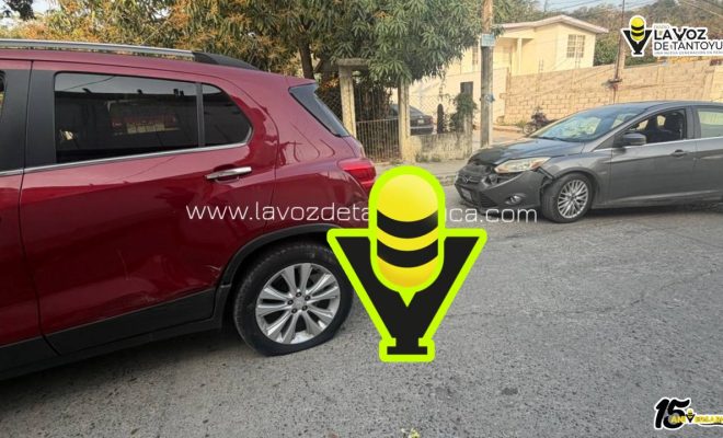 photo_5017114589279226905_y