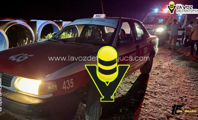 photo_5017152591149861818_y