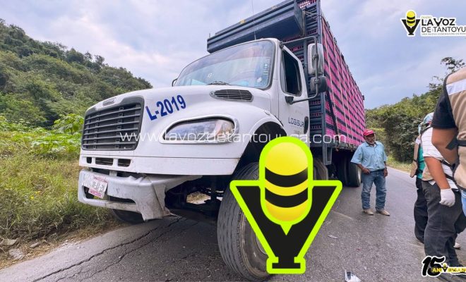 photo_5019366389092912053_y