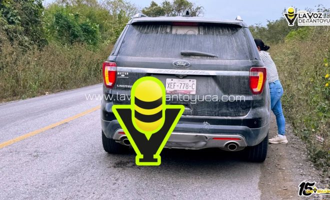 photo_5019366389092912082_y