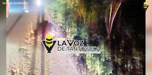 Muere abuelito atropellado en la México - Tampico