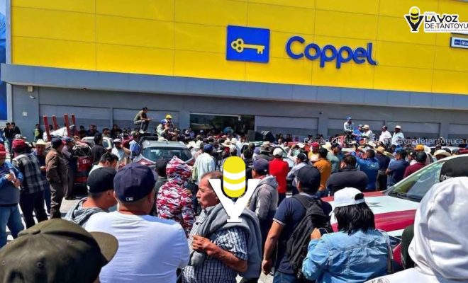 photo_5021578443279240005_y photo_5021578443279240005_y