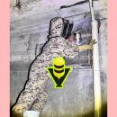 Protección Civil Municipal atiende reportes por enjambre de abejas en Colonias de Tantoyuca