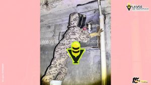 Protección Civil Municipal atiende reportes por enjambre de abejas en Colonias de Tantoyuca