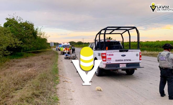 photo_5023830243092925232_y (1)