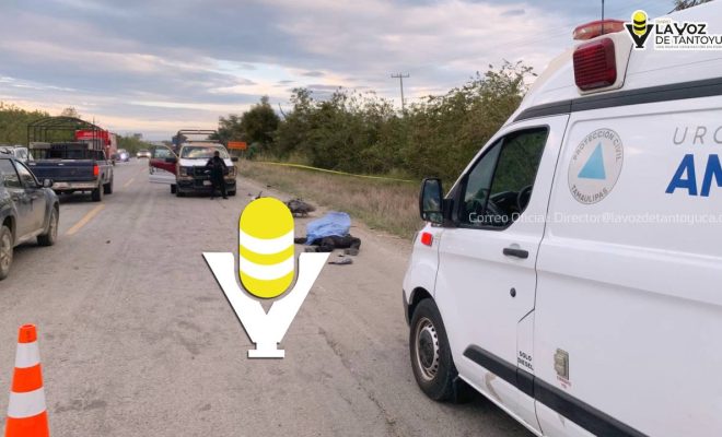 photo_5023830243092925233_y