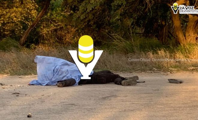 photo_5023830243092925234_y