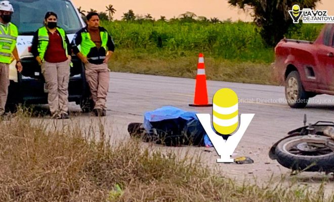 photo_5023830243092925235_y