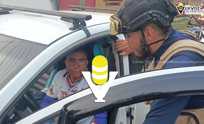 photo_5023830243092925257_y