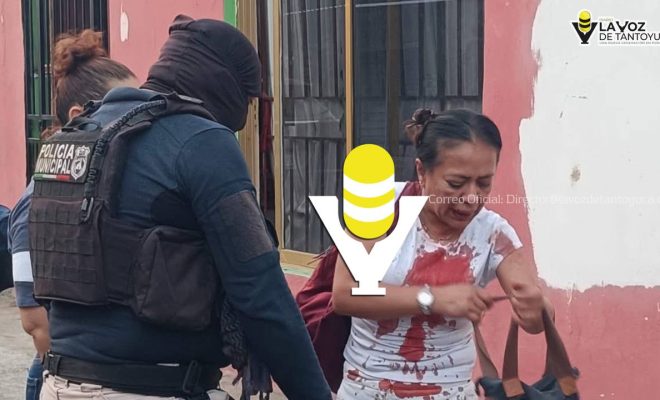 photo_5023830243092925258_y