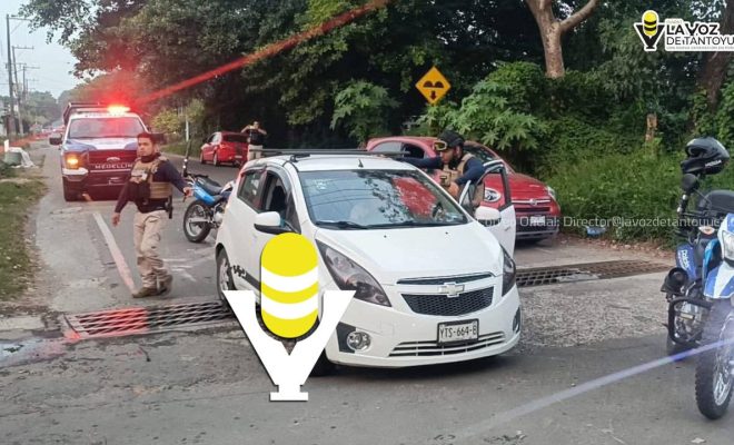 photo_5023830243092925259_y