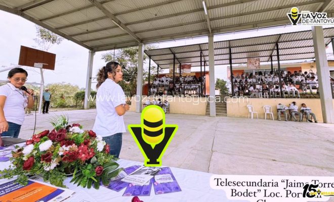 photo_5024031067173751688_y photo_5024031067173751688_y