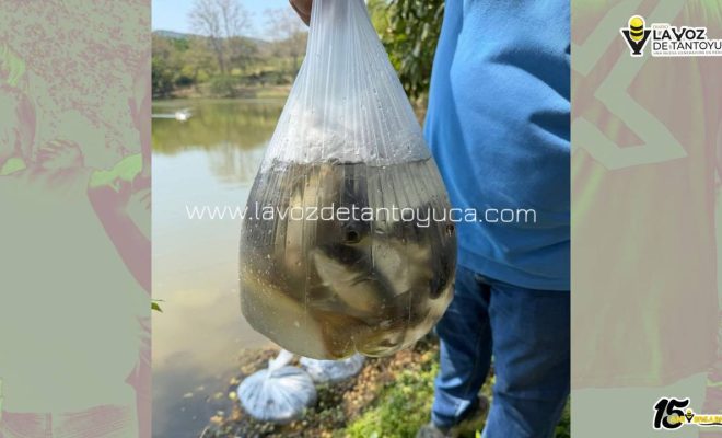 photo_5024031067173751901_y