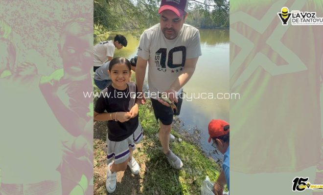 photo_5024031067173751904_y