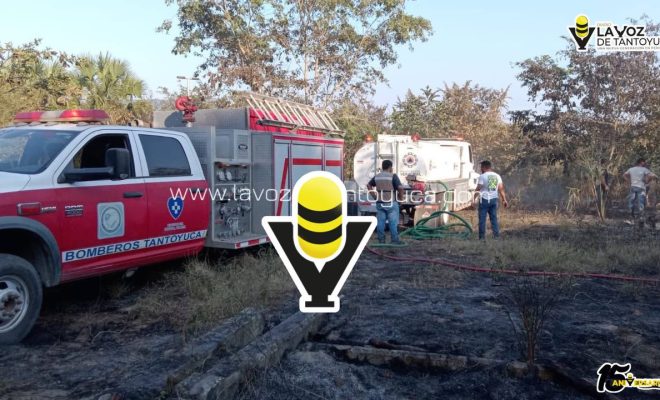 photo_5024031067173751920_y