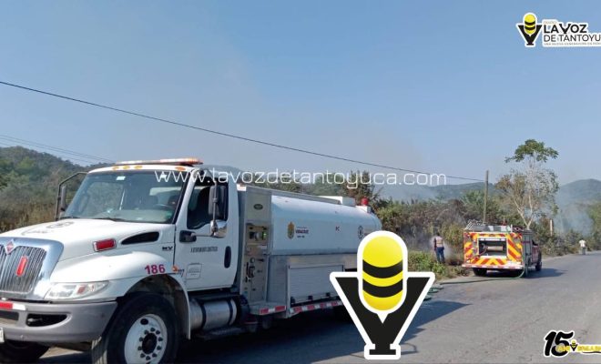 photo_5024031067173751921_y