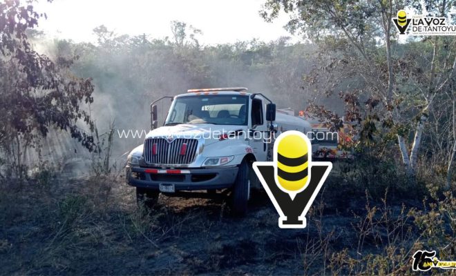 photo_5024031067173751922_y