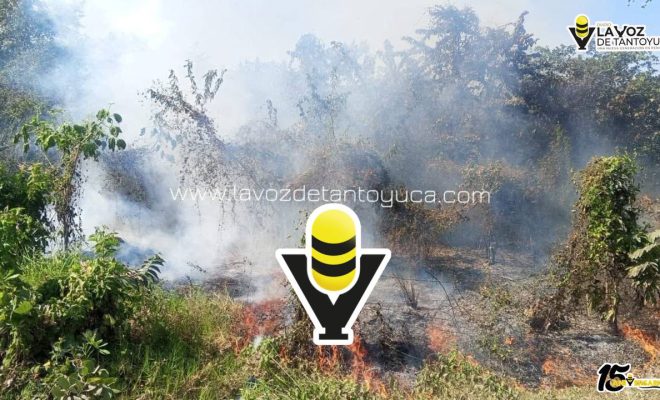 photo_5024031067173751923_y