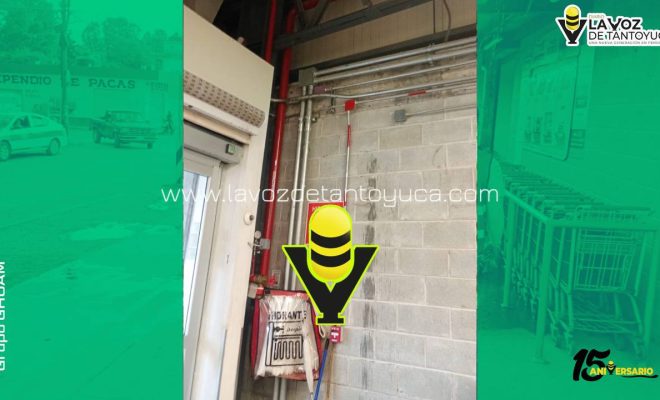 photo_5026457925559454822_y photo_5026457925559454822_y