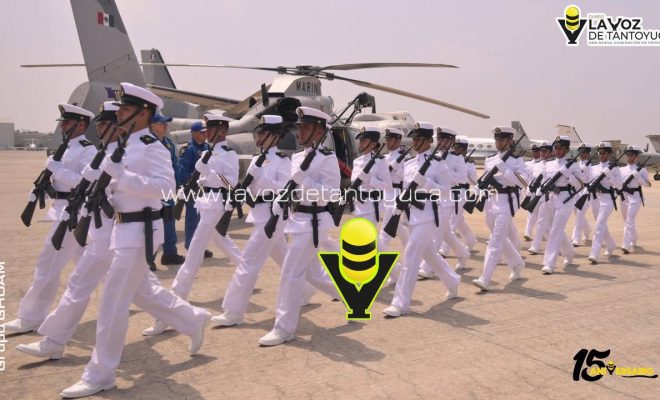 photo_5026457925559454827_y