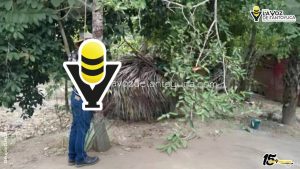 Estudiante del TEC escapa por la puerta falsa en Tantoyuca 