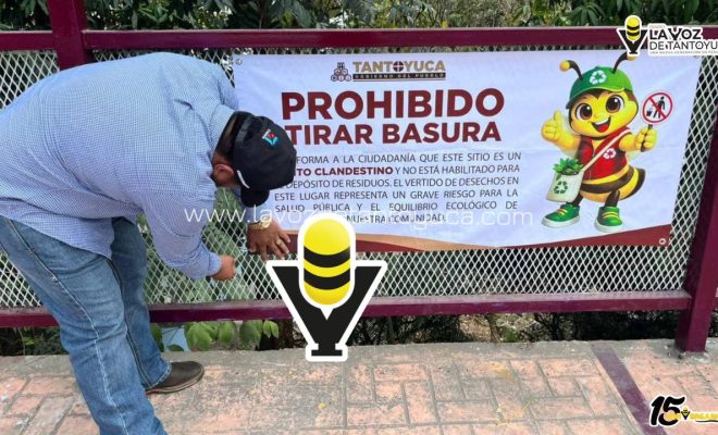 photo_5030521922399177666_y