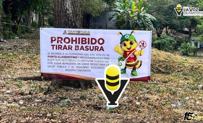 photo_5030521922399177667_y